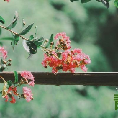 双赢彩票官方网站app下载