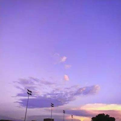 网络手机赌钱软件下载