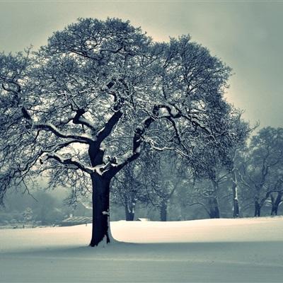 澳门黄金城手机app下载截图