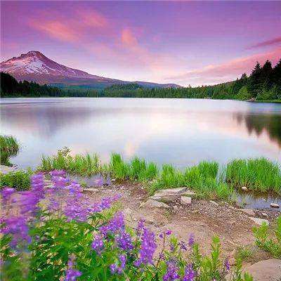 关于“开云电竞APP”手机app下载