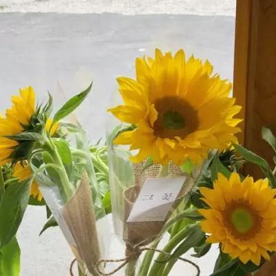 爱游戏·APPapp下载